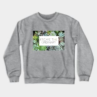 Escape the Ordinary Crewneck Sweatshirt